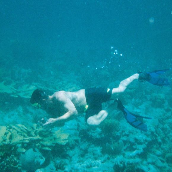 Meet your Posher, Blair - Picture 1 of 1